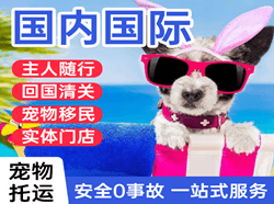 北京大兴航空邮寄国际宠物托运 【国